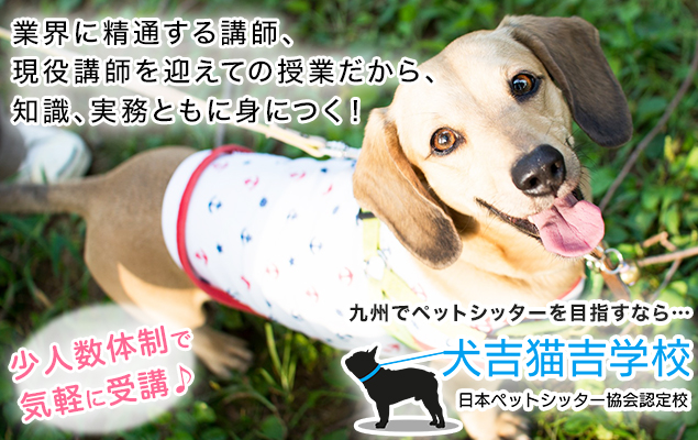 福岡発 九州のペット情報 犬吉猫吉
